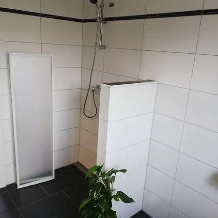 Seepferdchen * Zingst