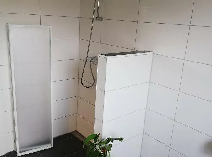 Seepferdchen * ツィングシュト