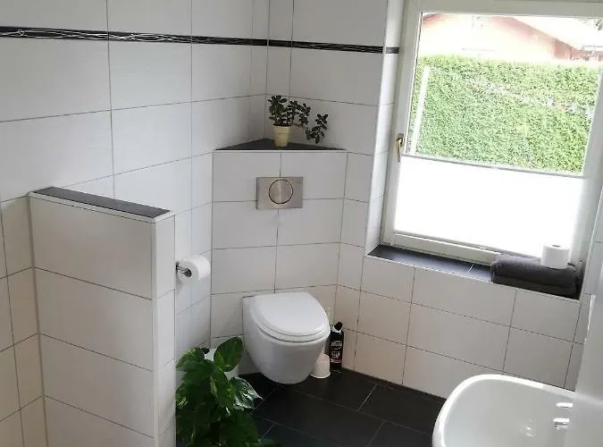 Seepferdchen ツィングシュト